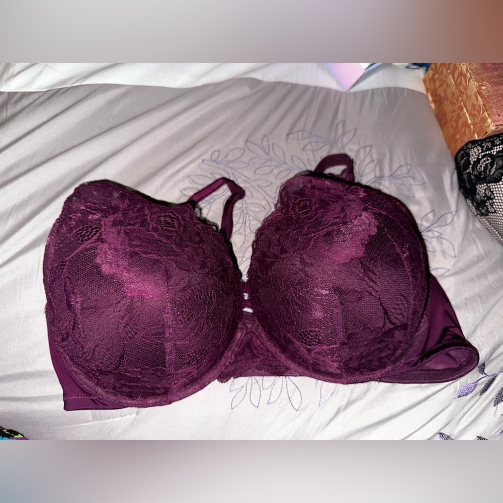 Torrid bra